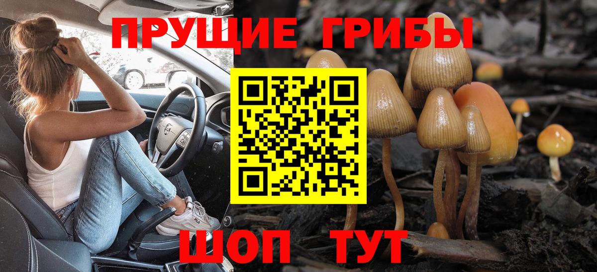 Галлюциногенные грибы мицелий Кузнецк