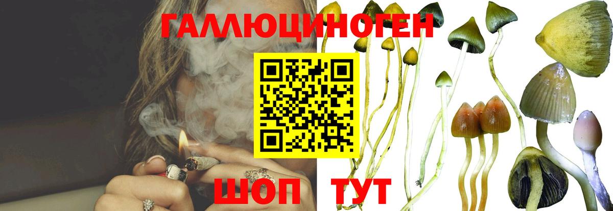 Псилоцибиновые грибы MAGIC MUSHROOMS  Вход с VPN  Кузнецк 